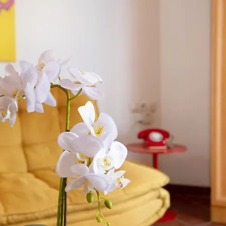 Apartamento Calm *